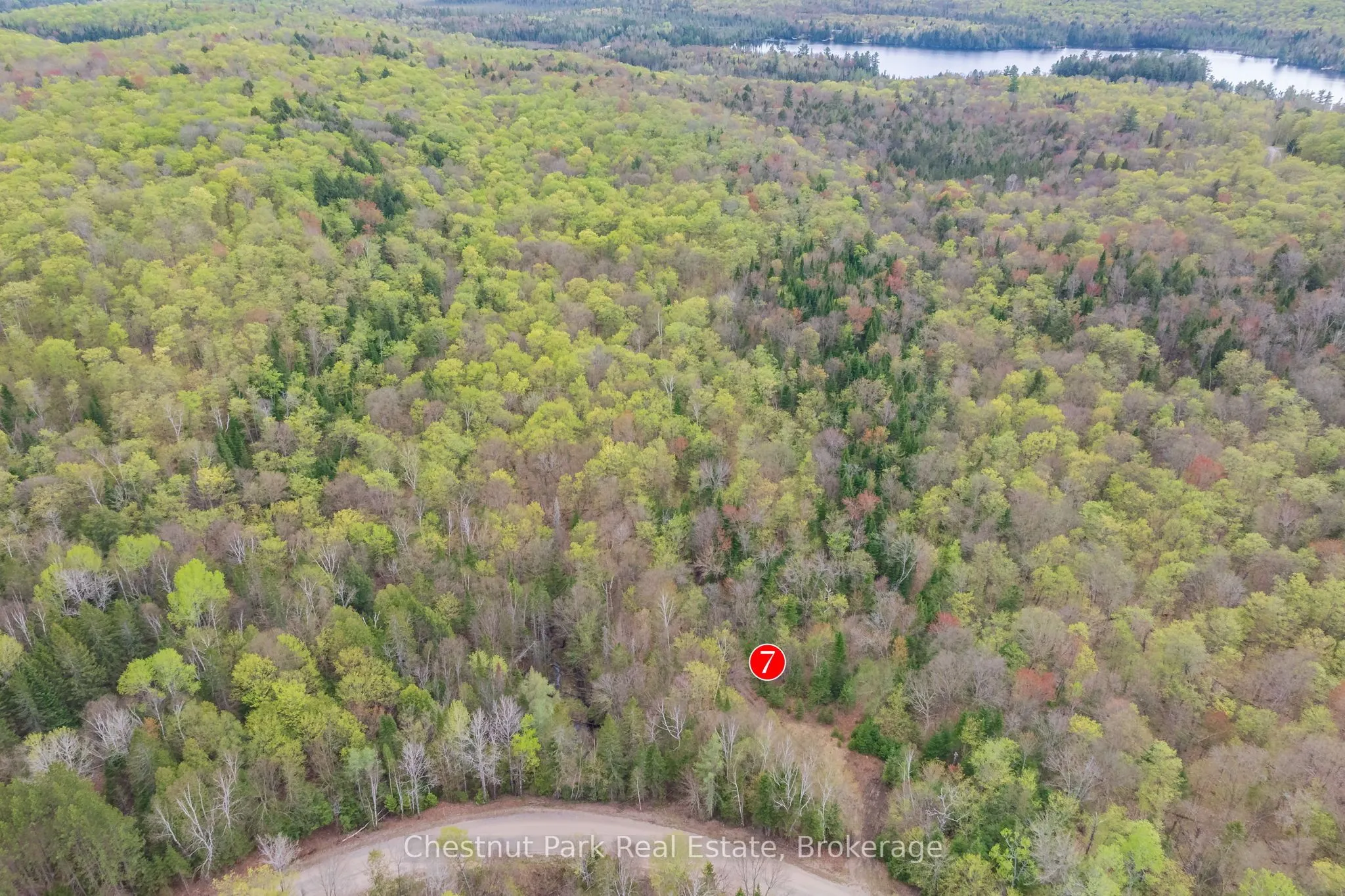 1397 Echo Ridge Road