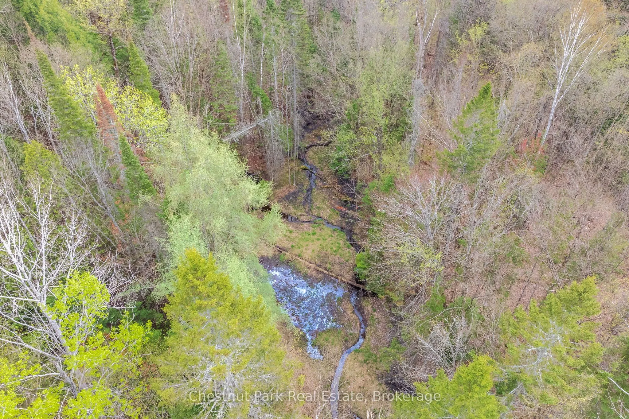 1397 Echo Ridge Road