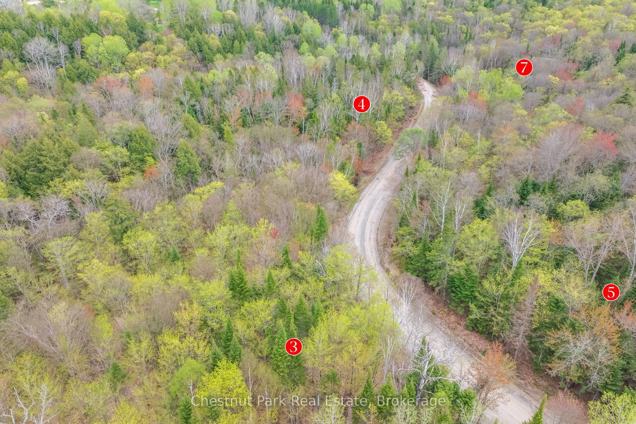 1397 Echo Ridge Road