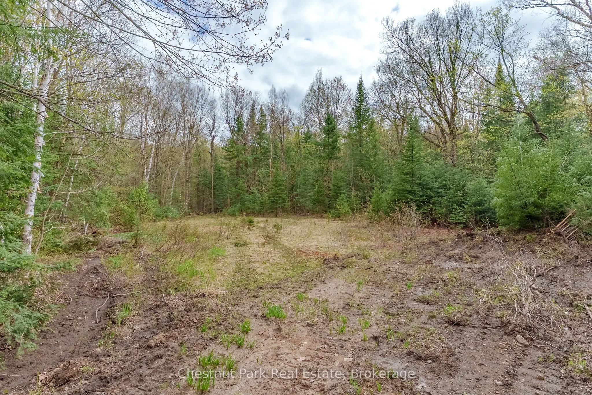 1397 Echo Ridge Road