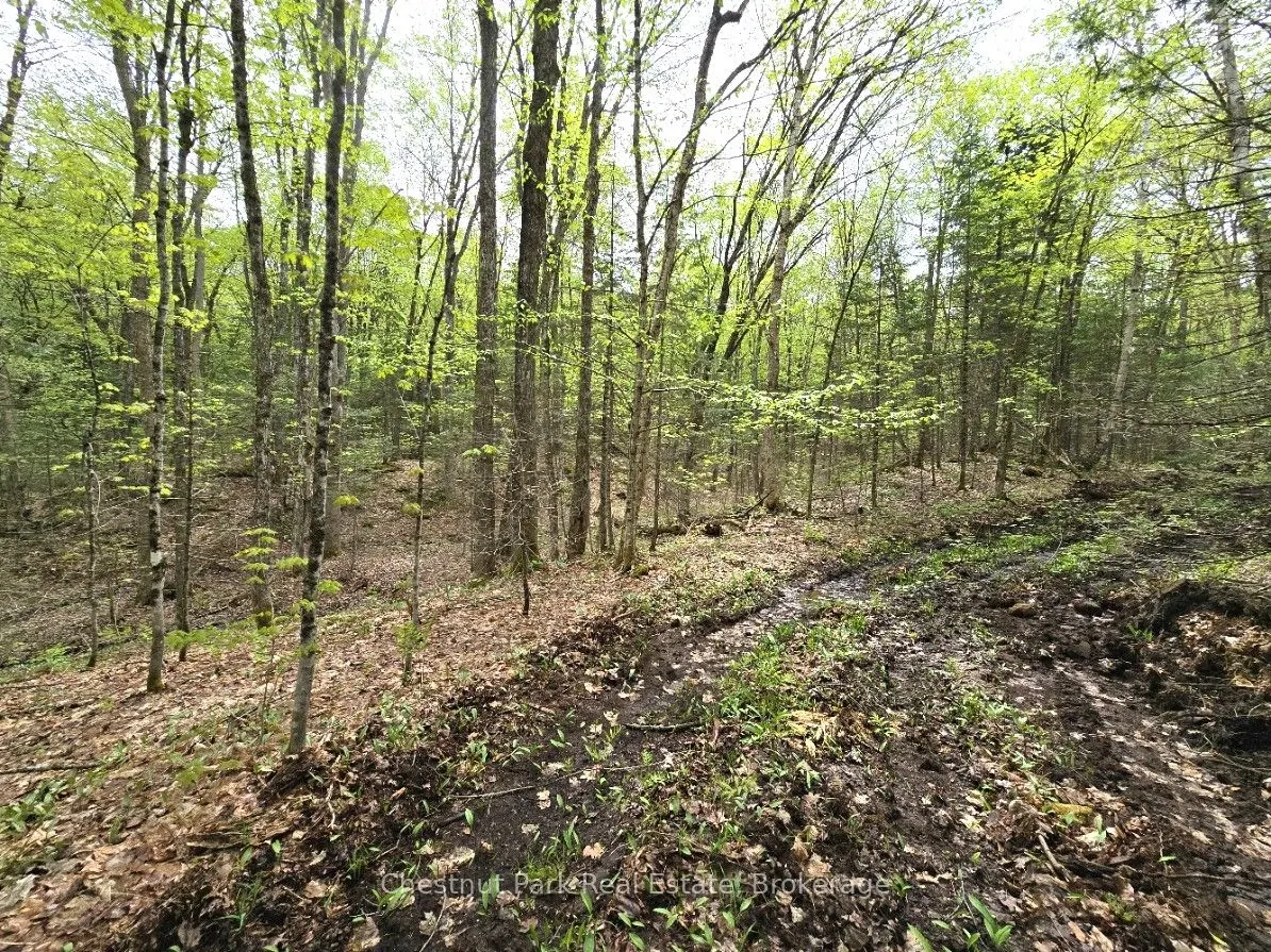 1397 Echo Ridge Road
