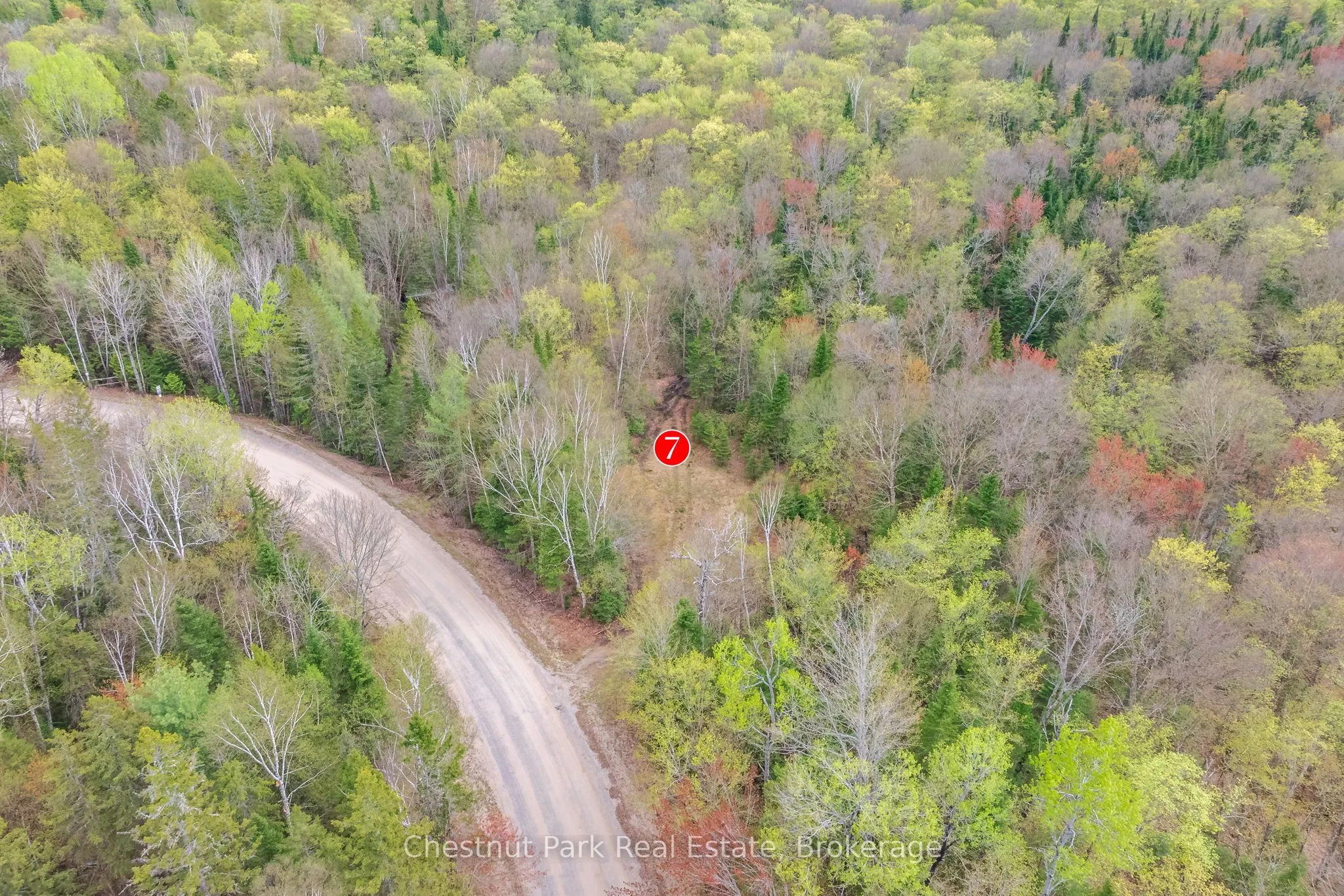 1397 Echo Ridge Road