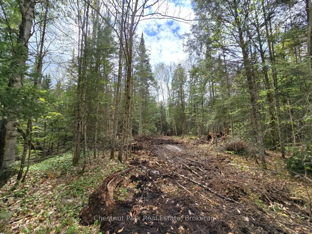 1363 Echo Ridge Road