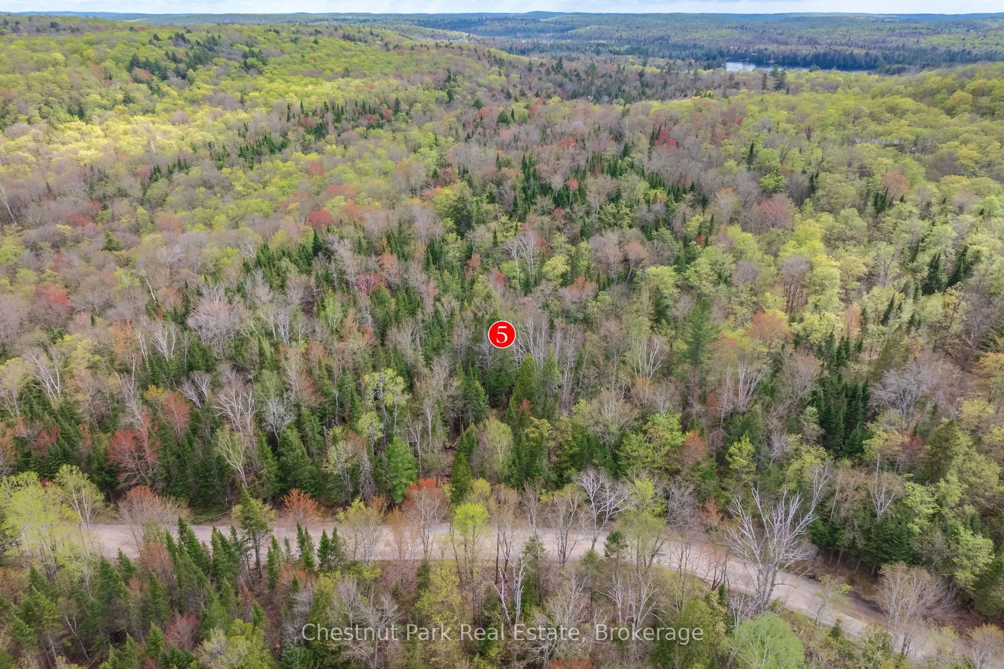 1363 Echo Ridge Road