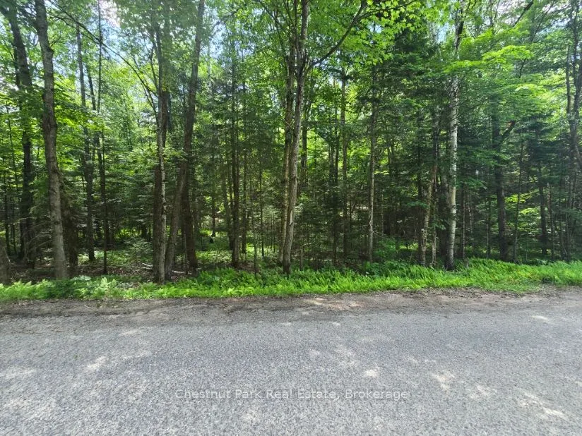 1363 Echo Ridge Road