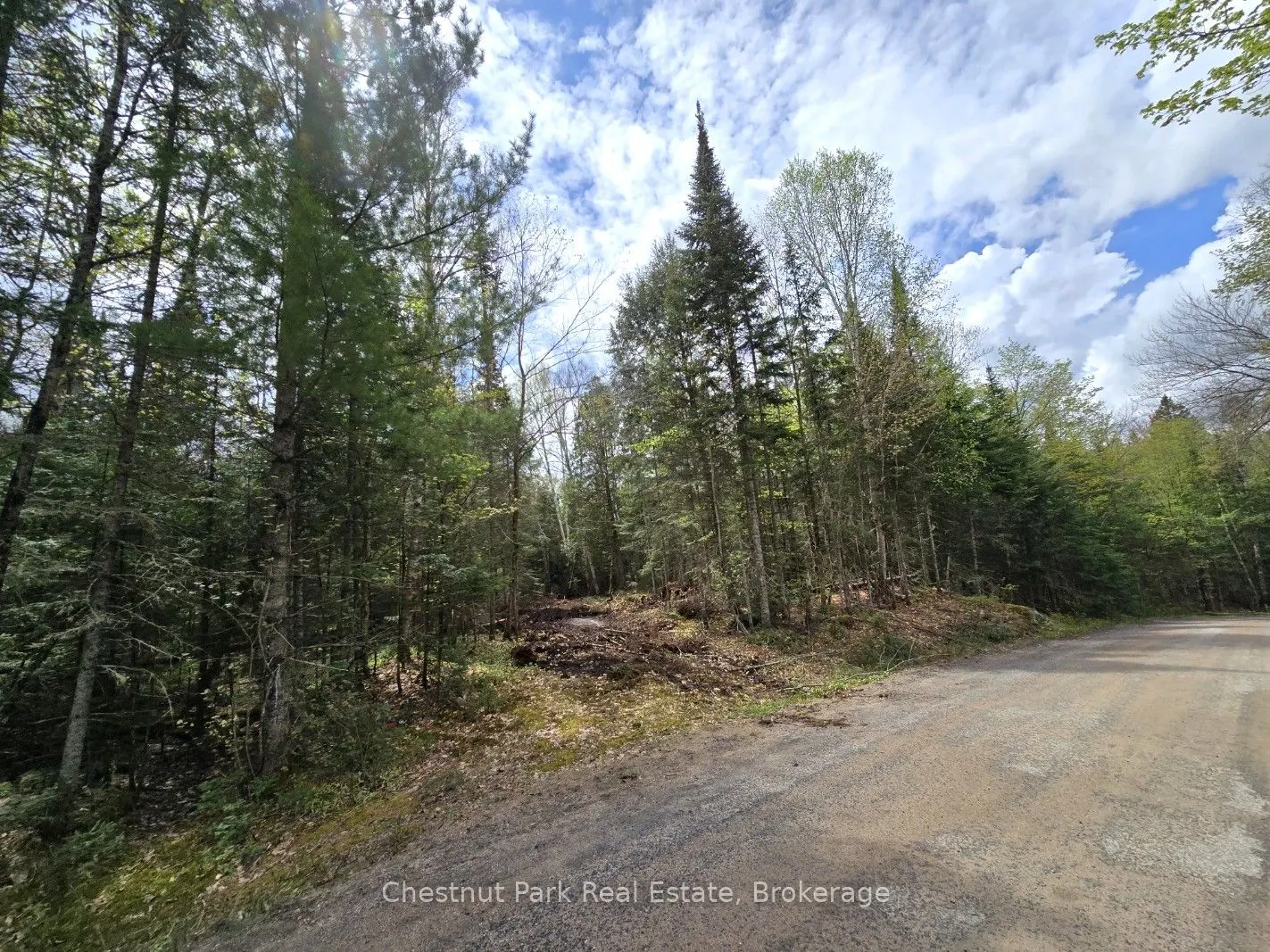 1363 Echo Ridge Road