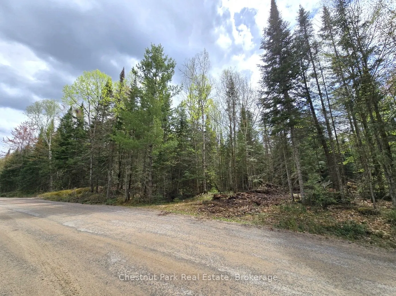 1363 Echo Ridge Road