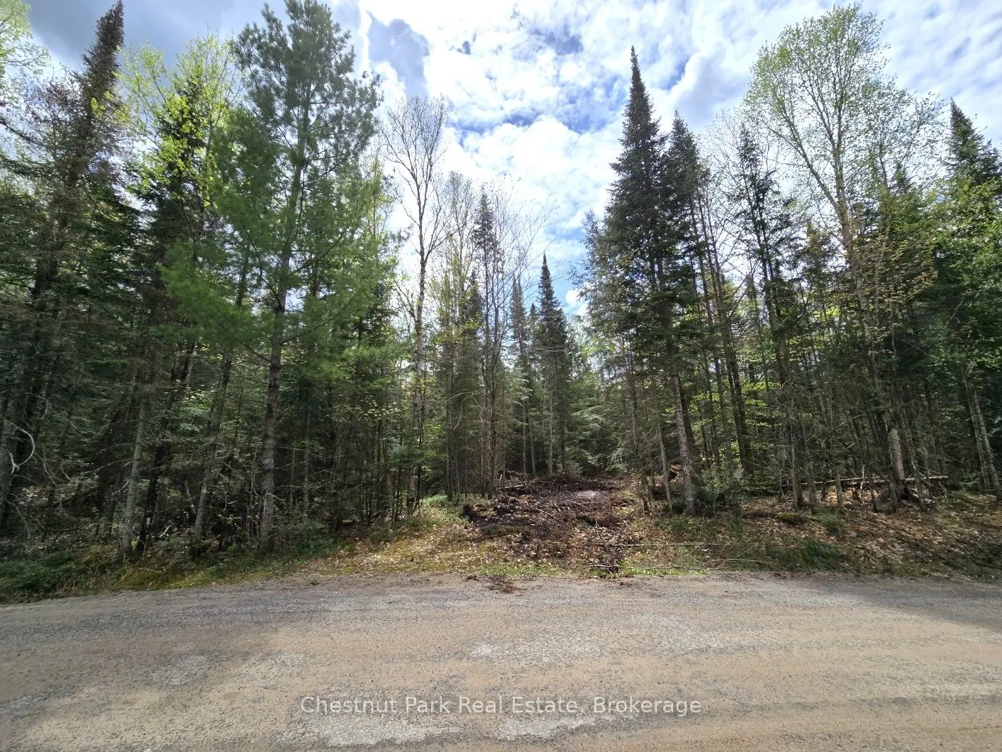 1363 Echo Ridge Road