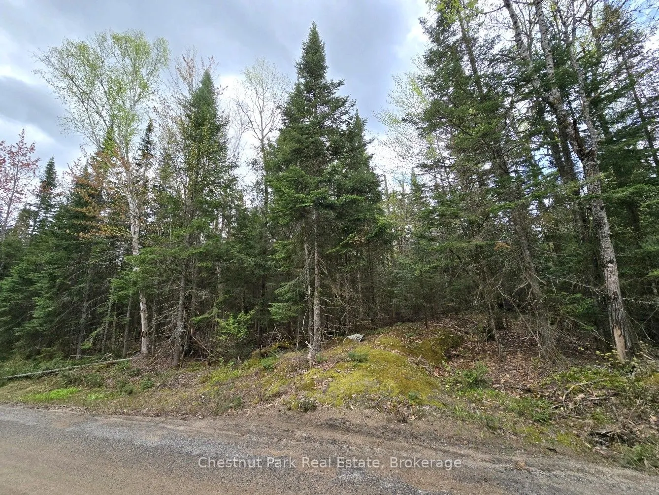 1363 Echo Ridge Road