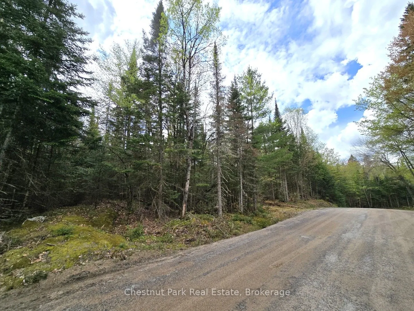 1363 Echo Ridge Road