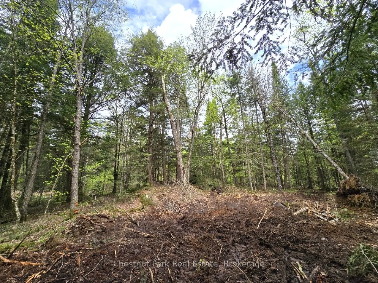 1366 Echo Ridge Road