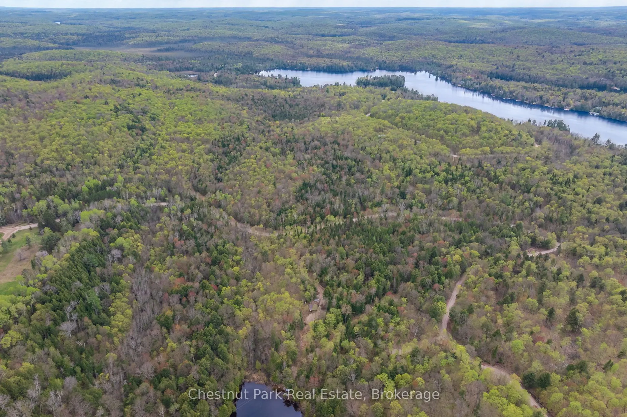 1366 Echo Ridge Road