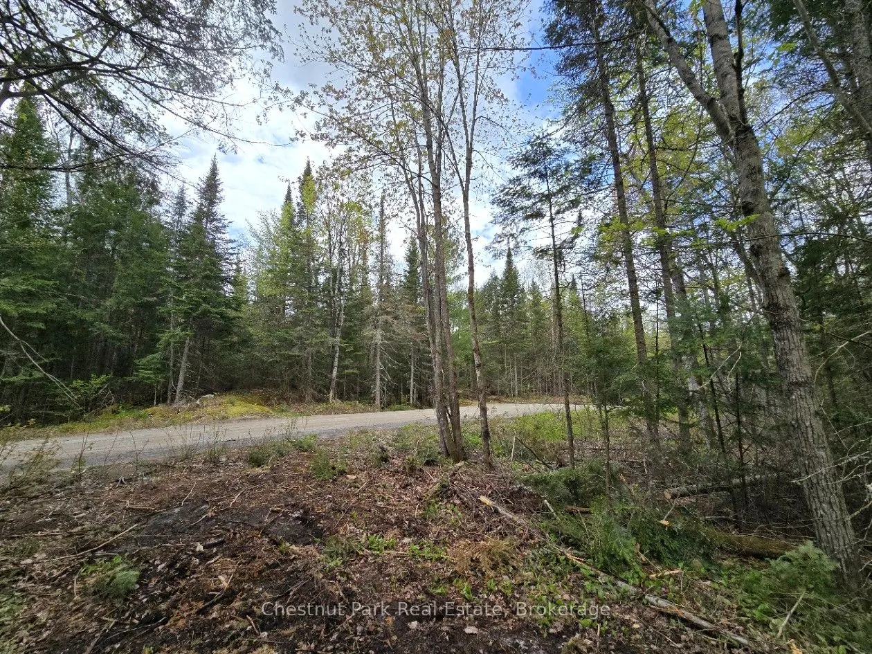 1366 Echo Ridge Road