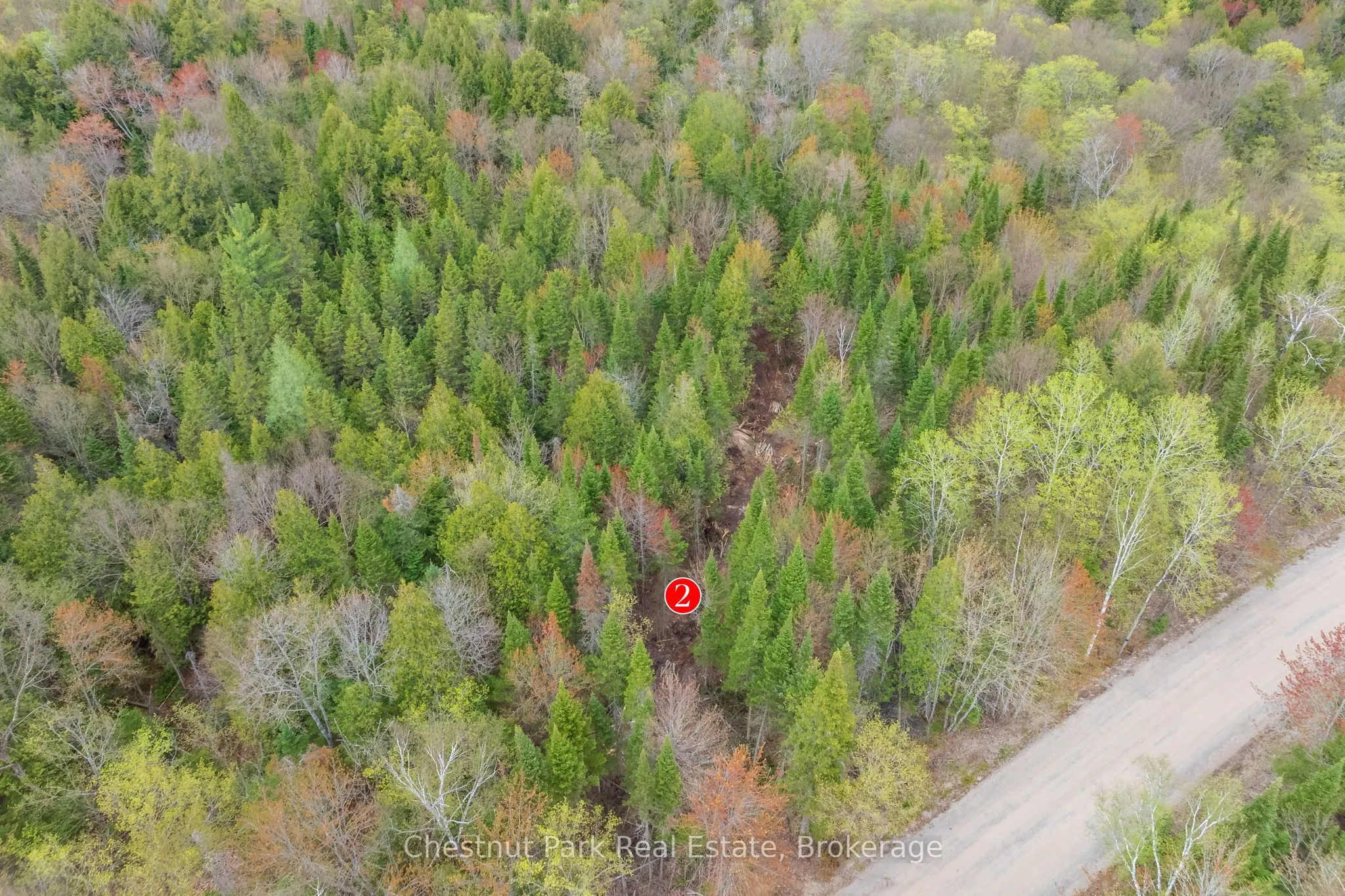 1366 Echo Ridge Road