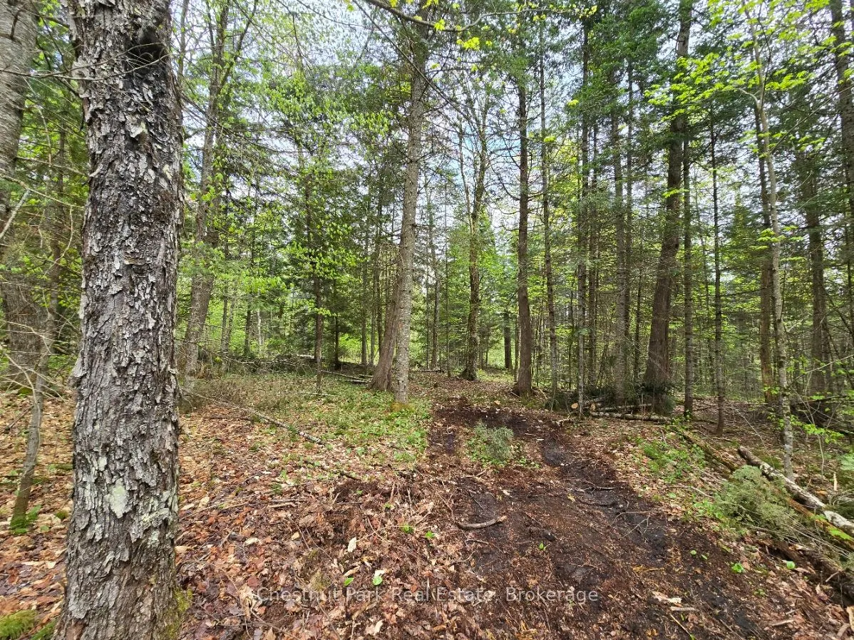 1366 Echo Ridge Road