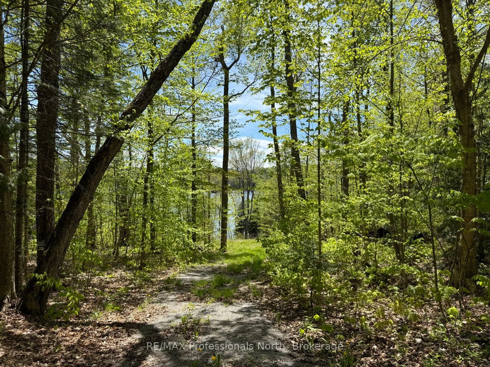 2612 Wilkinson Road