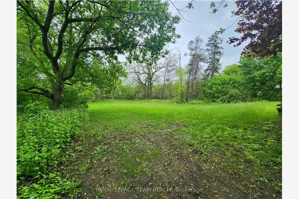 3787 Carp Road