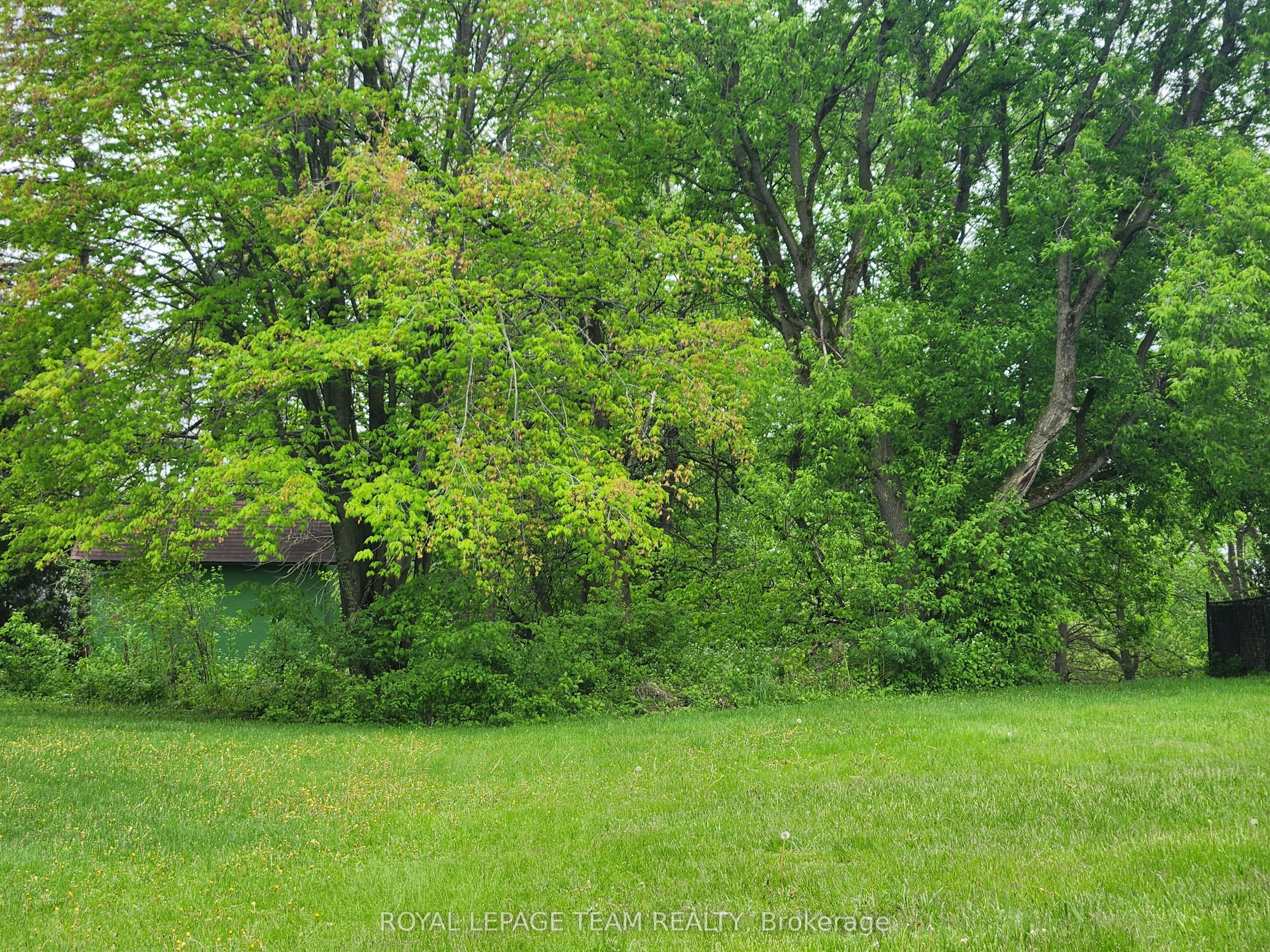 3787 Carp Road
