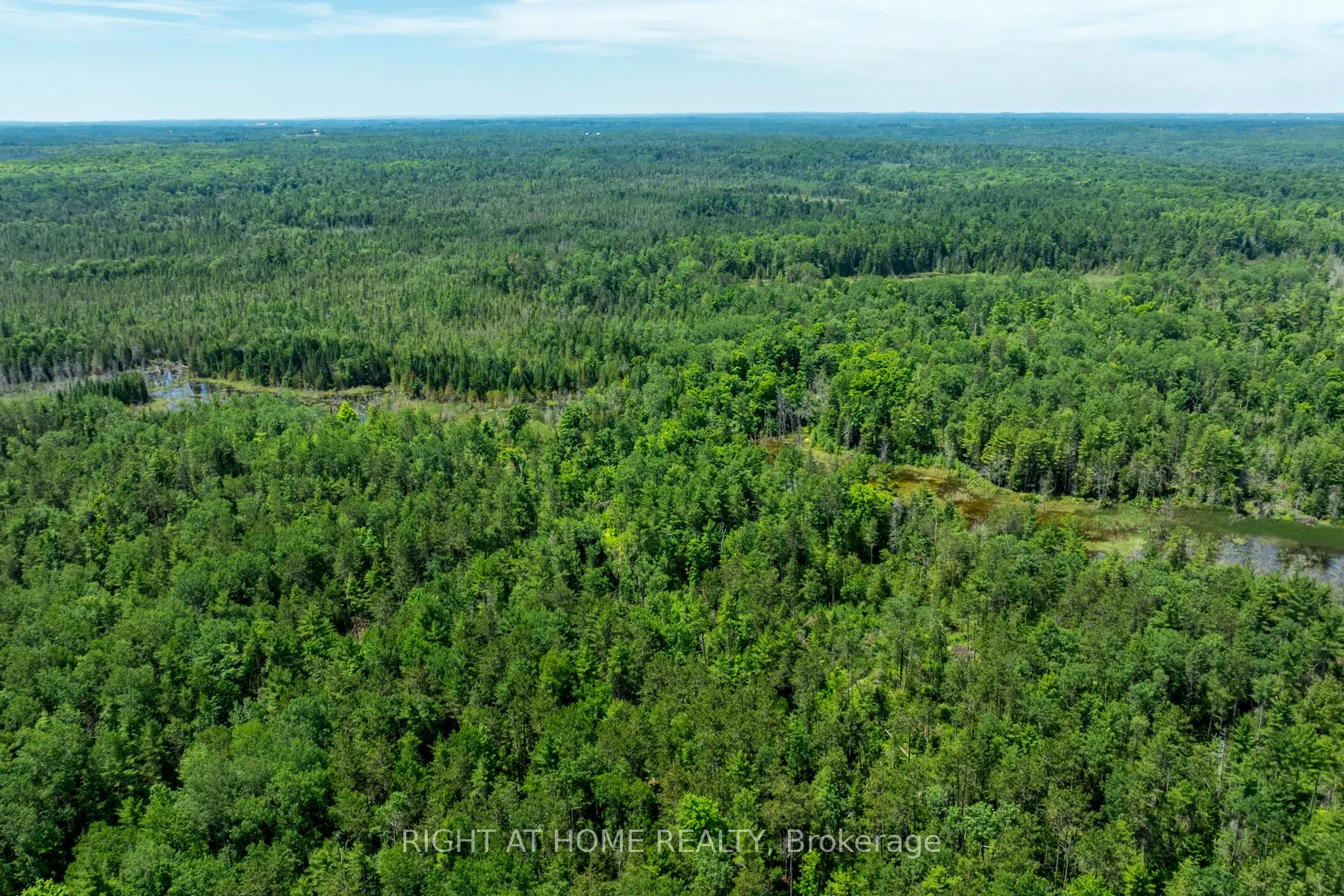 1662 COUNTY ROAD 40 Road