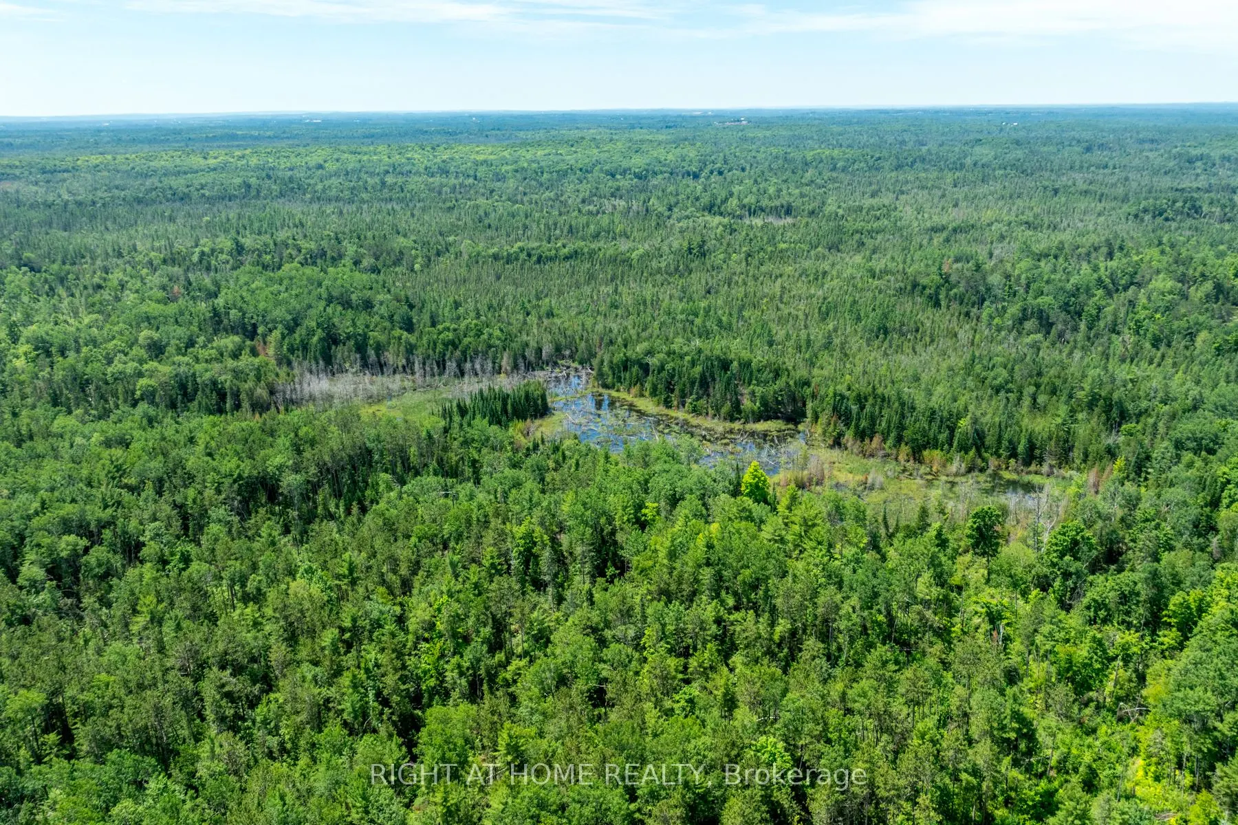 1662 COUNTY ROAD 40 Road