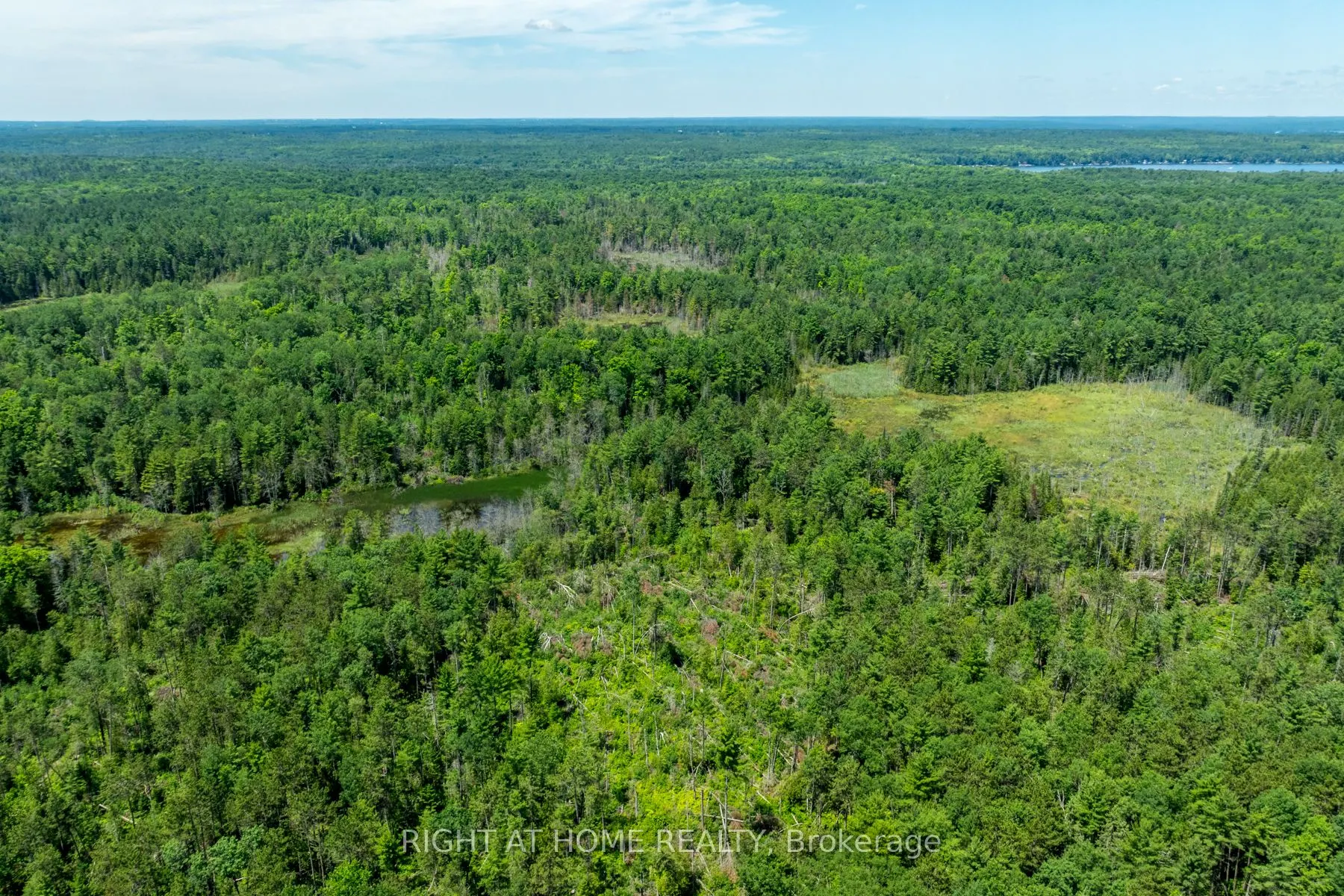 1662 COUNTY ROAD 40 Road