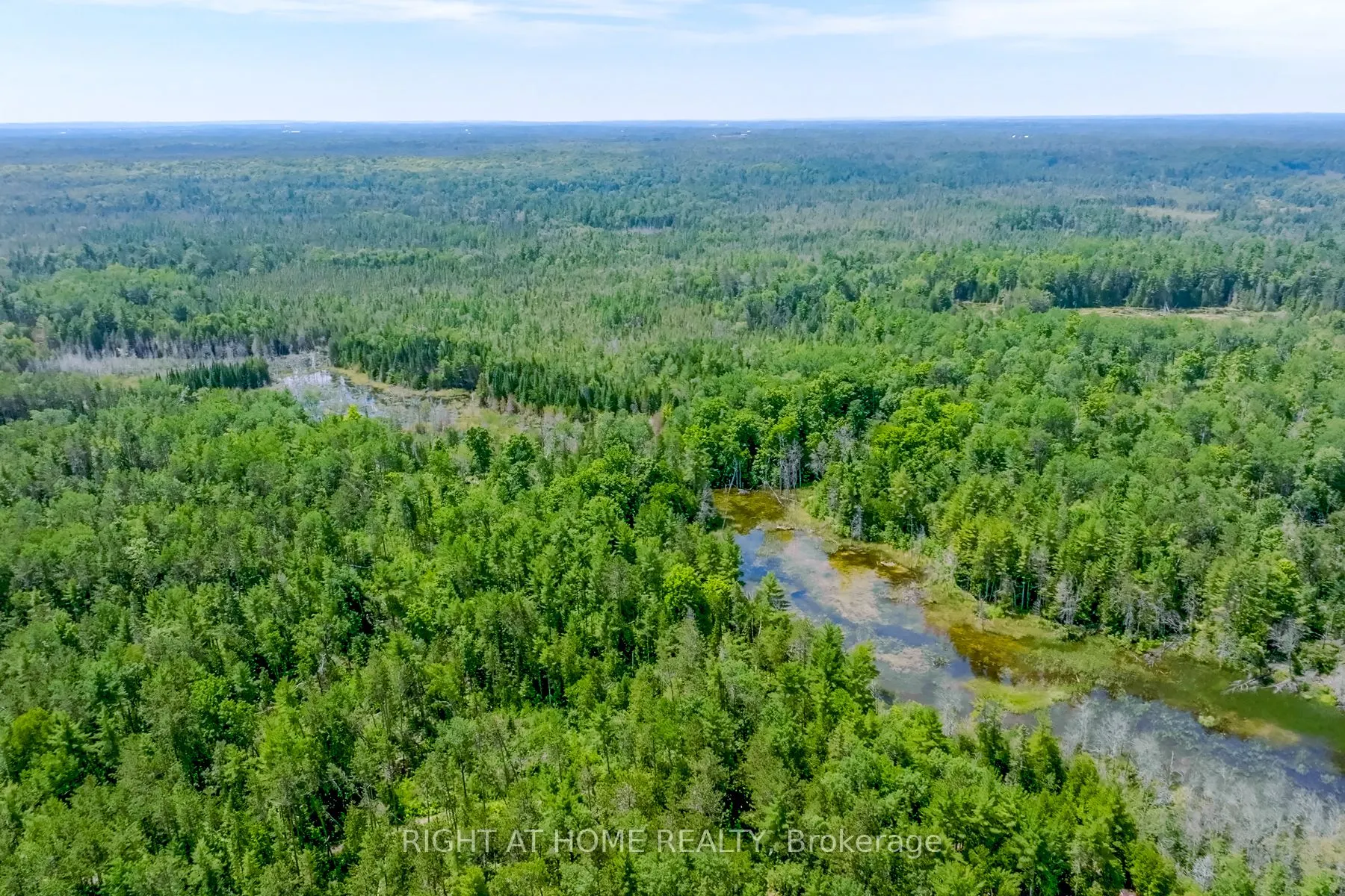 1662 COUNTY ROAD 40 Road