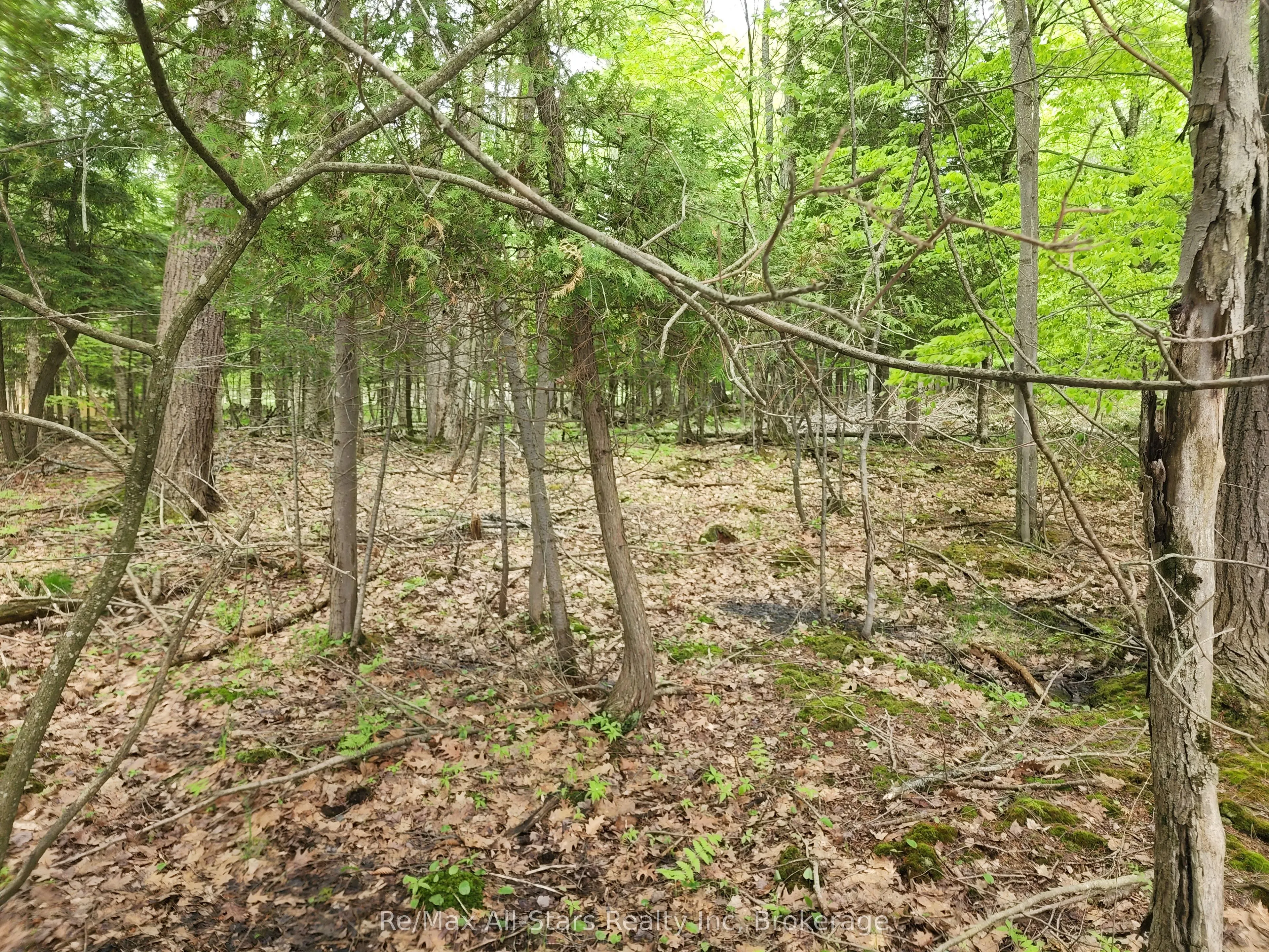 504 Bigwin Island