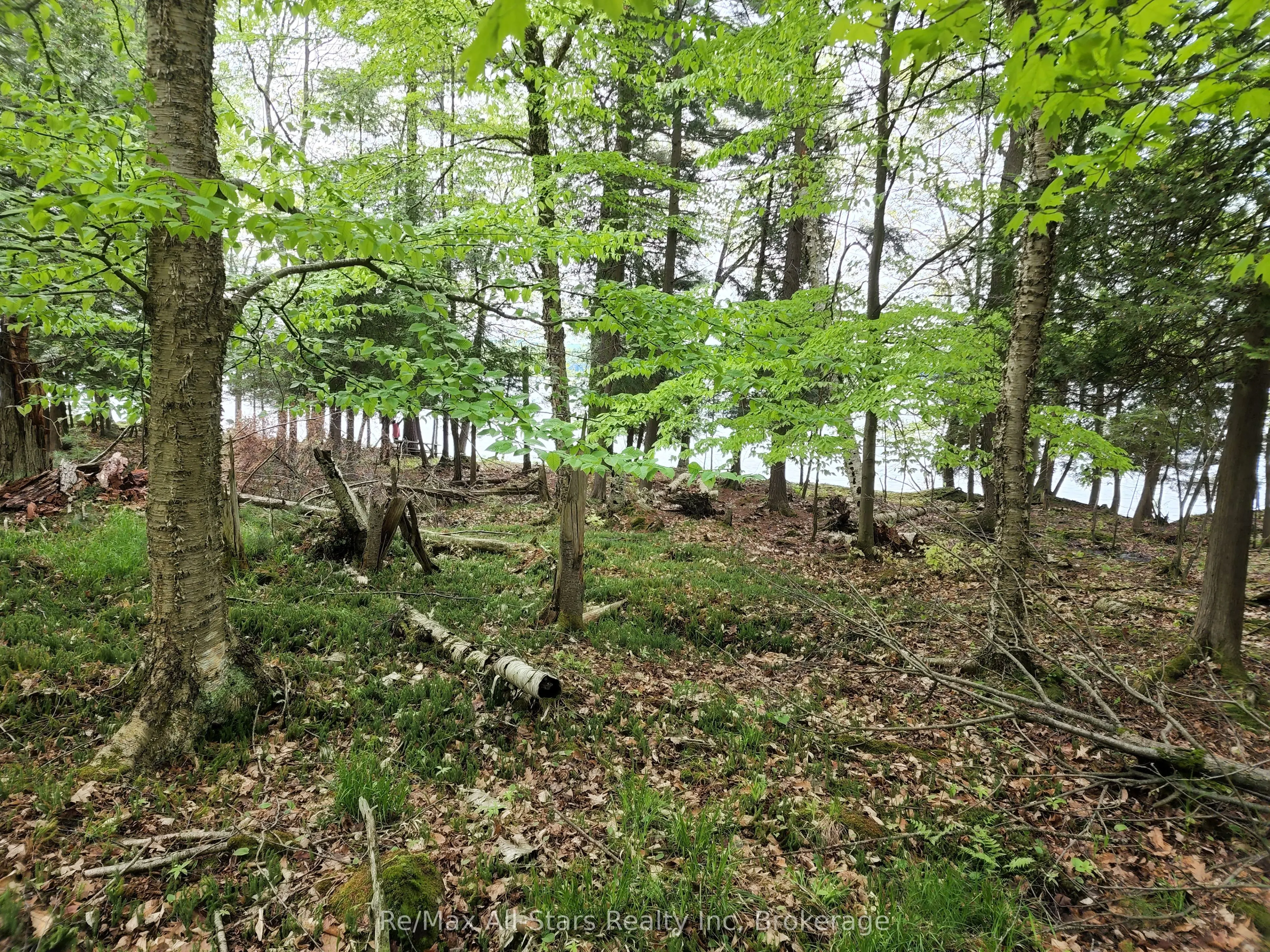 504 Bigwin Island