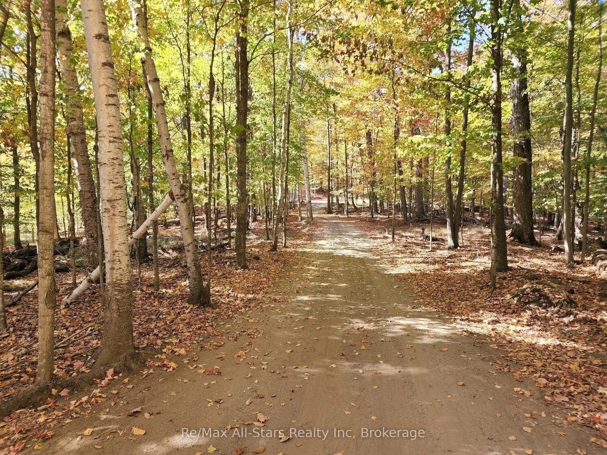 504 Bigwin Island