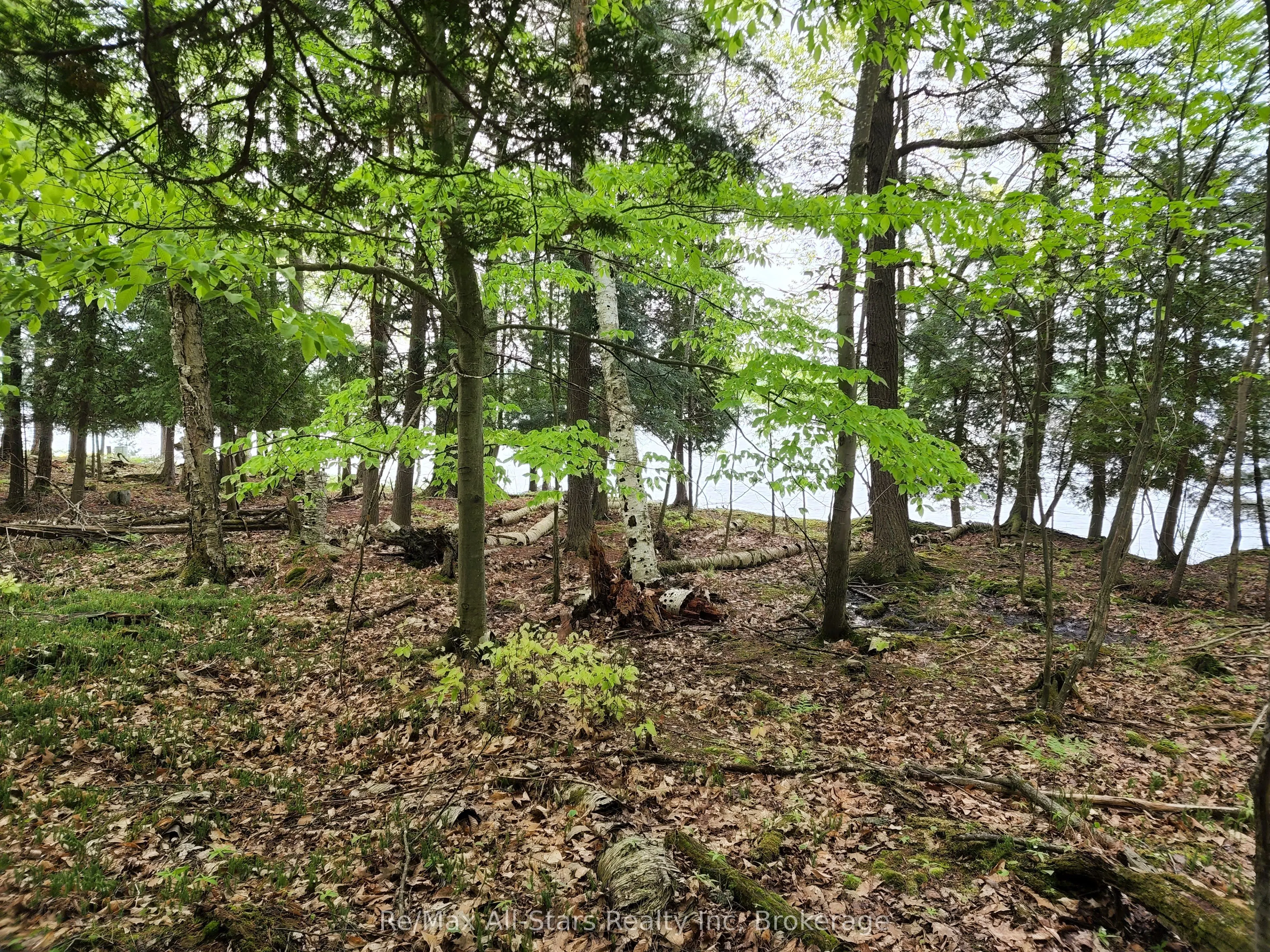 504 Bigwin Island