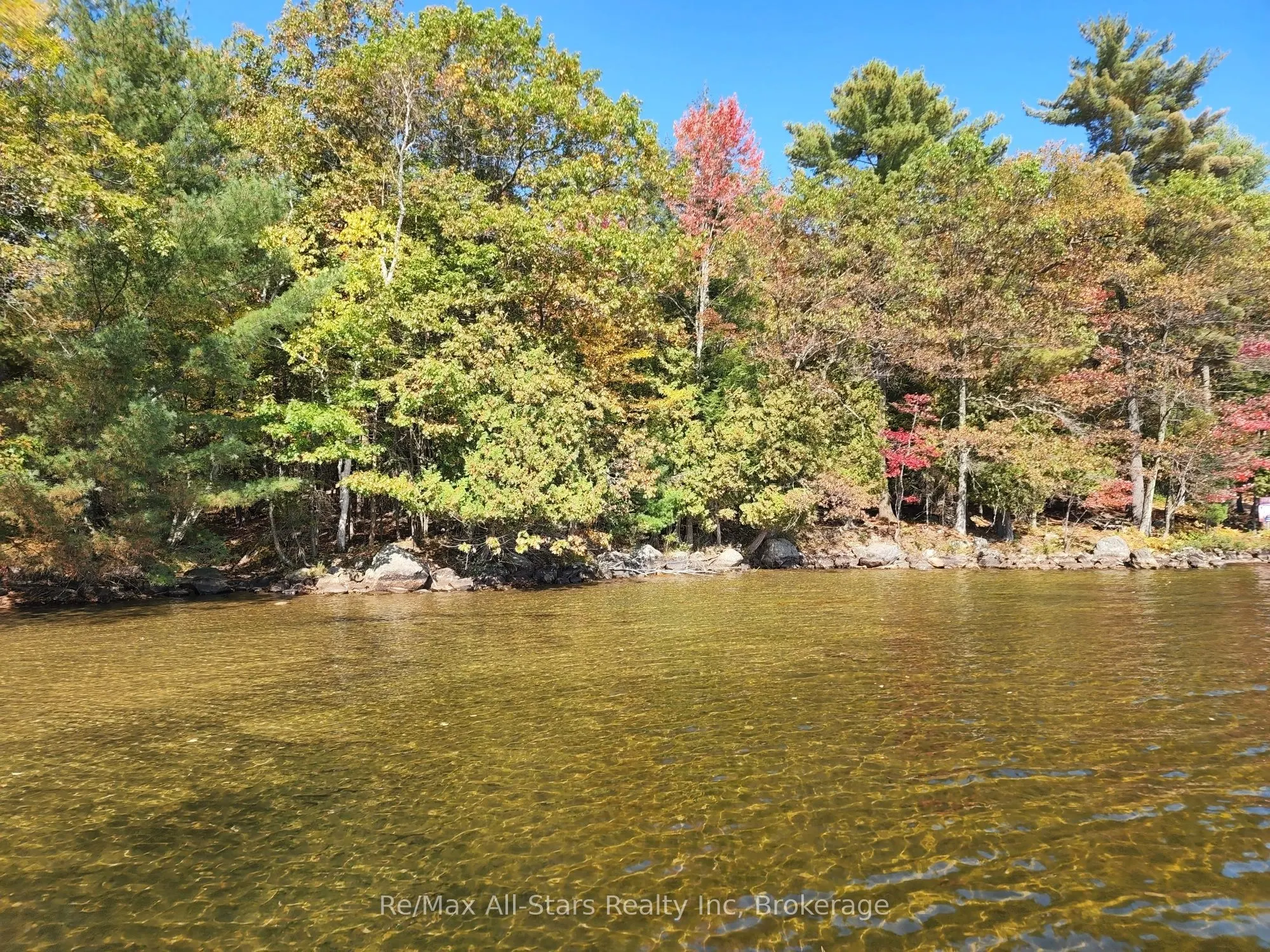 504 Bigwin Island