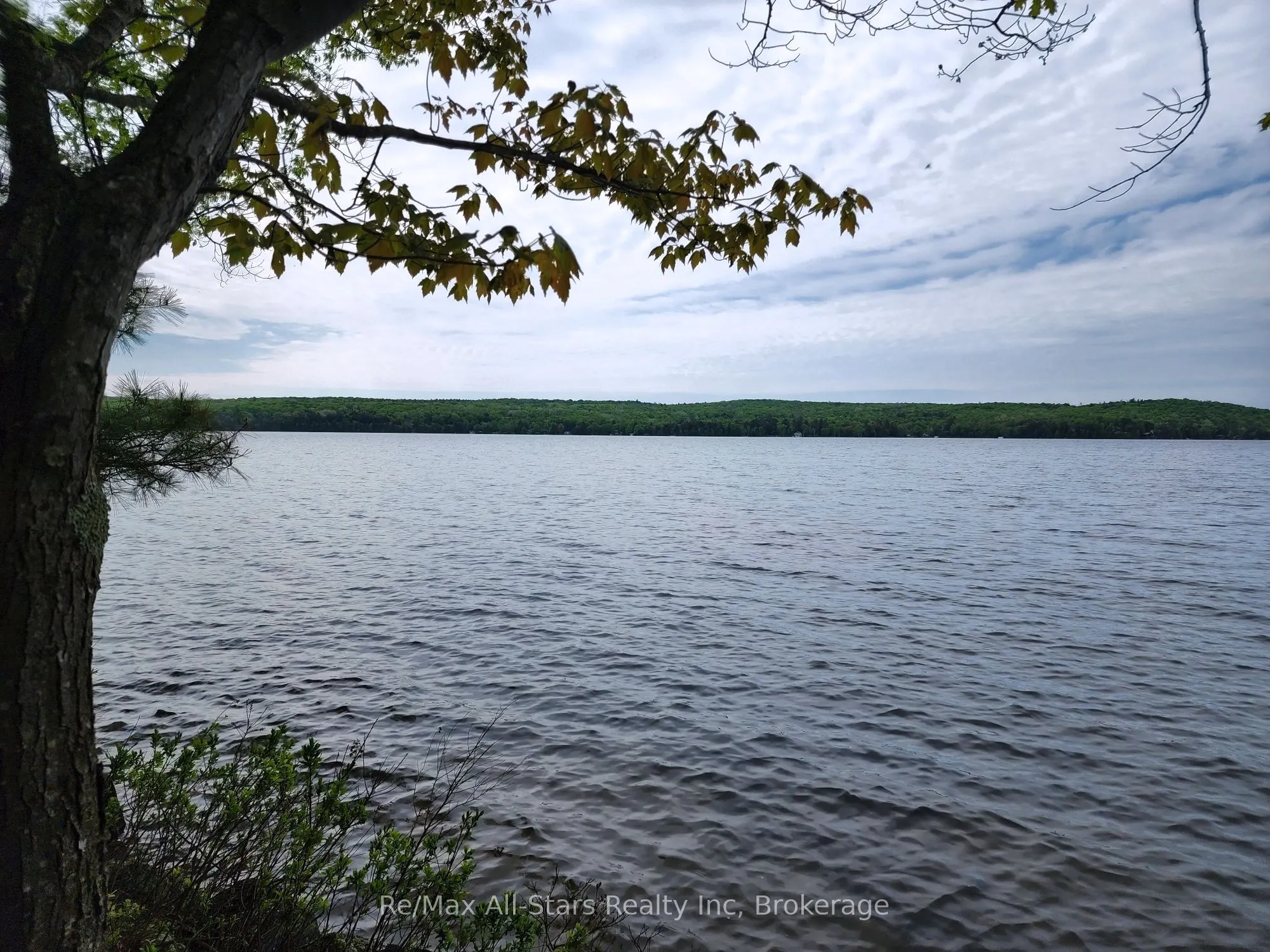 504 Bigwin Island
