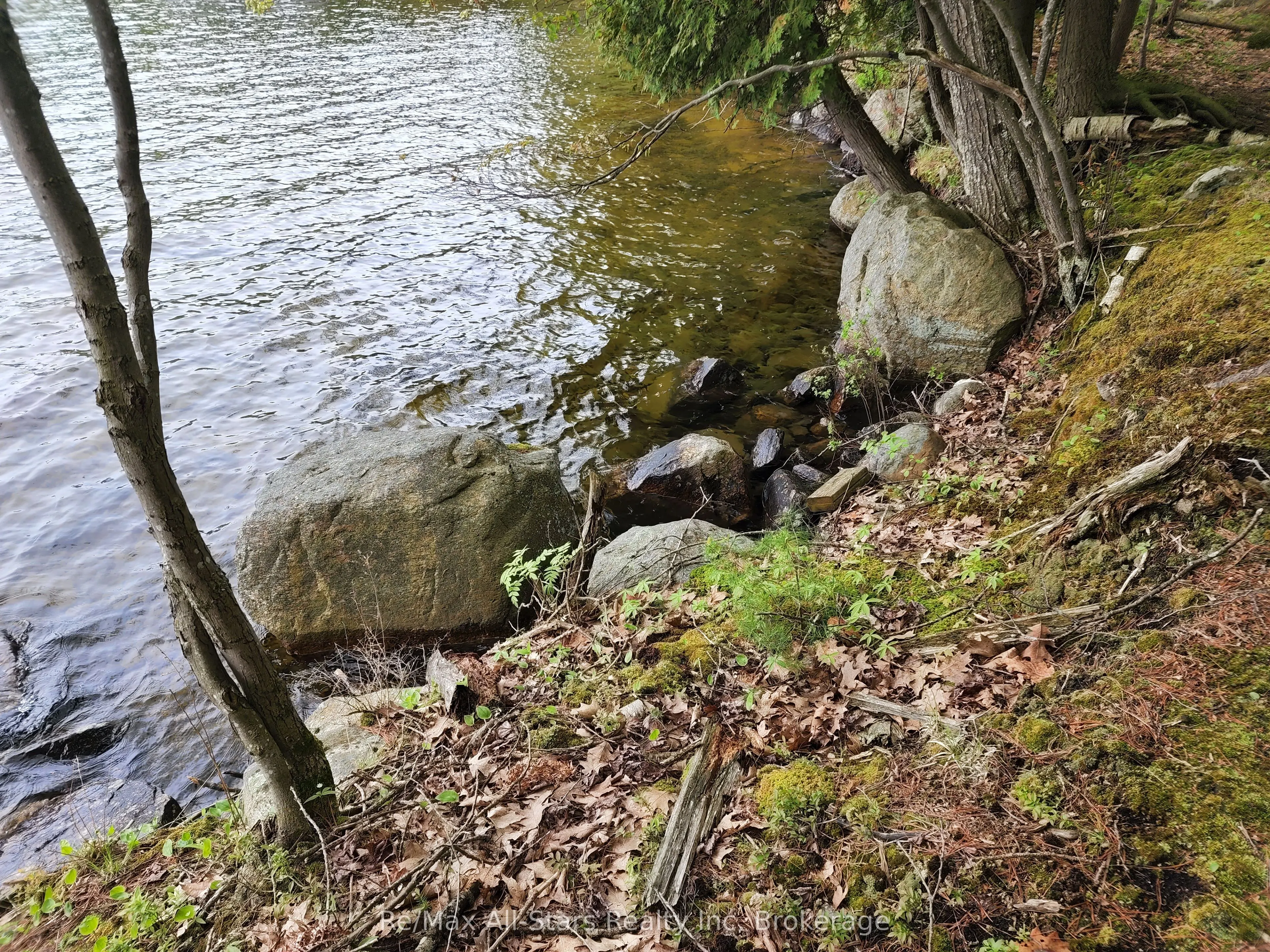 504 Bigwin Island