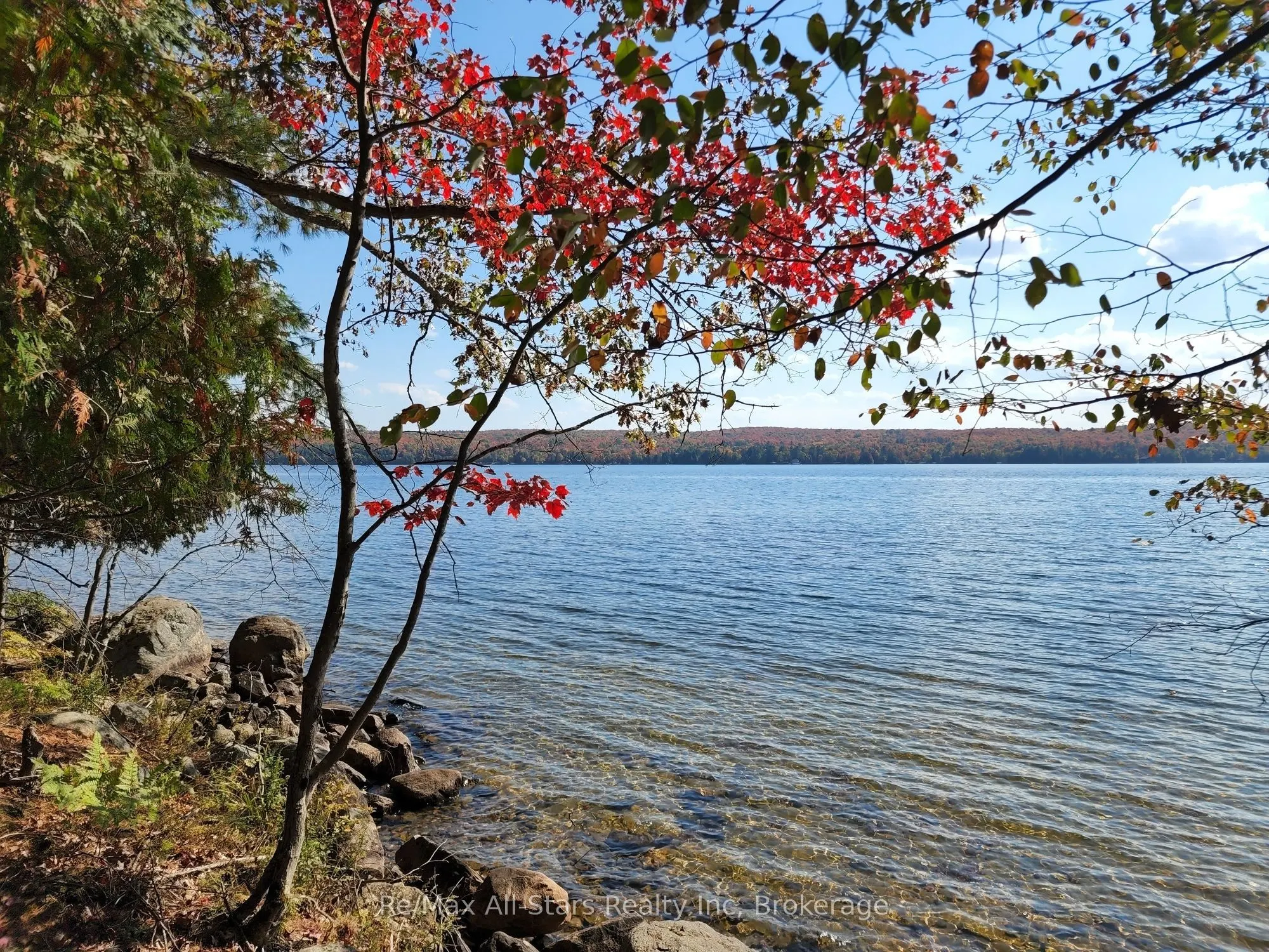 504 Bigwin Island