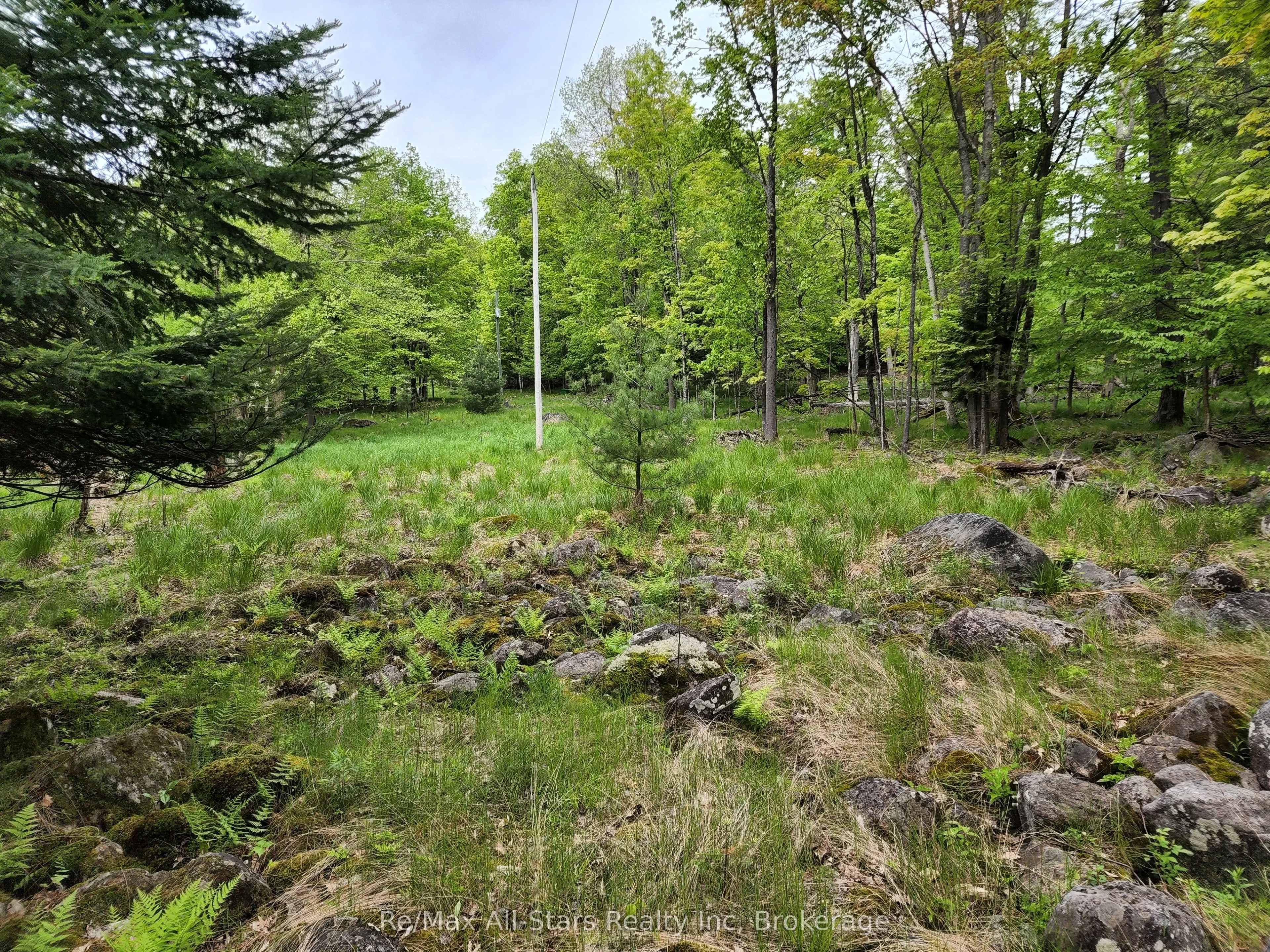 504 Bigwin Island
