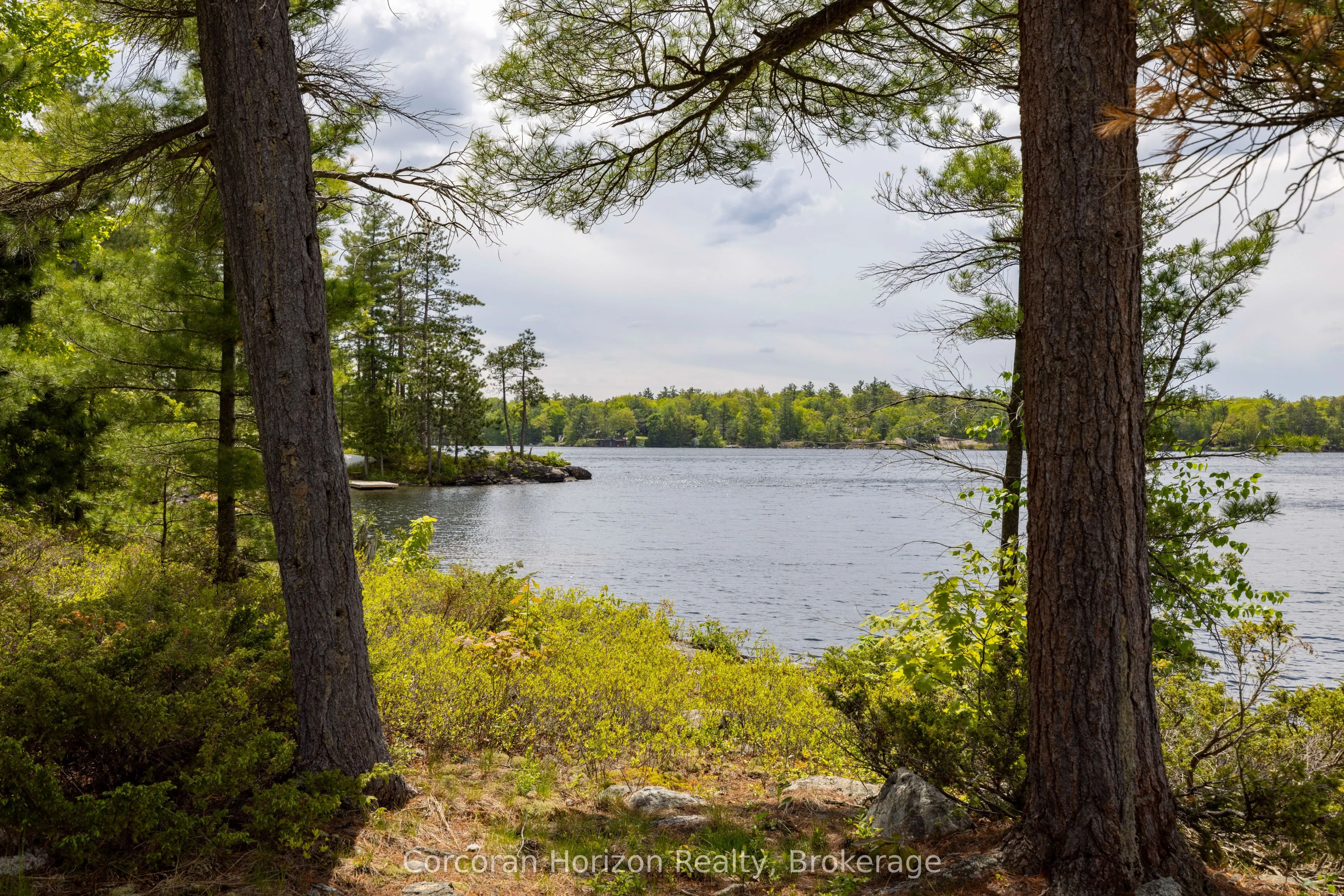 PT ISLAND 45 IN SIX MILE LAKE Island