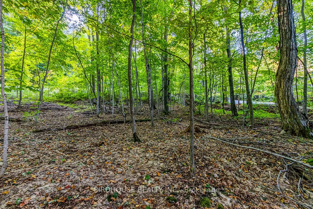 504871 Grey Road 1