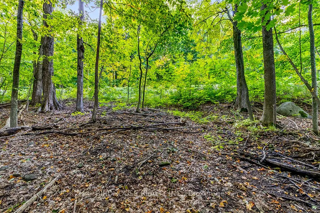 504871 Grey Road 1