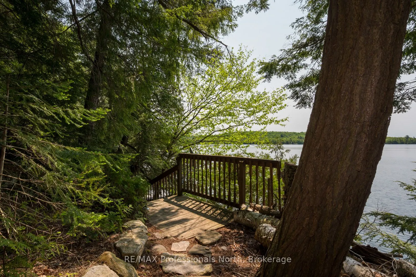 255 Cedar Lane
