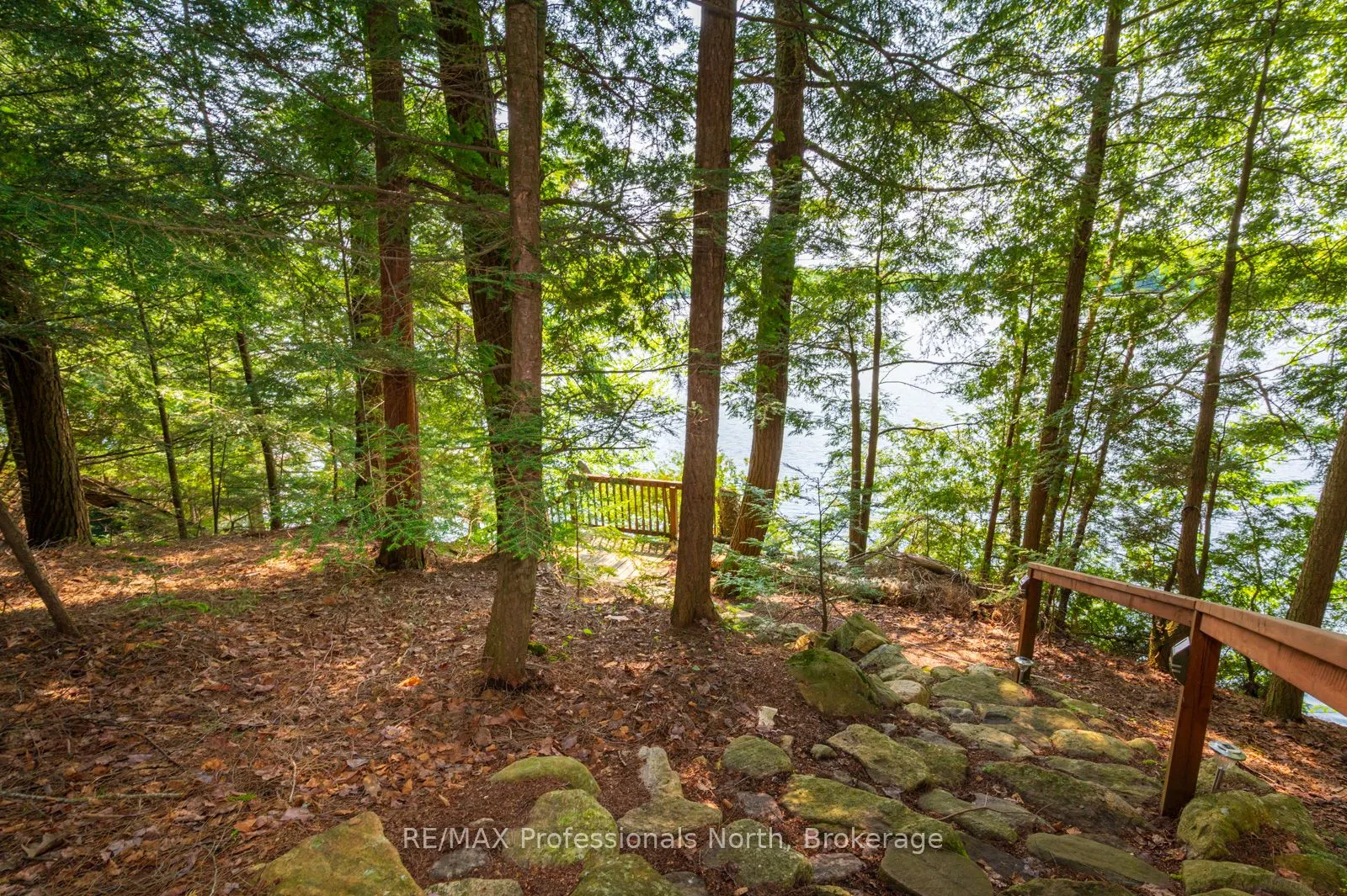 255 Cedar Lane