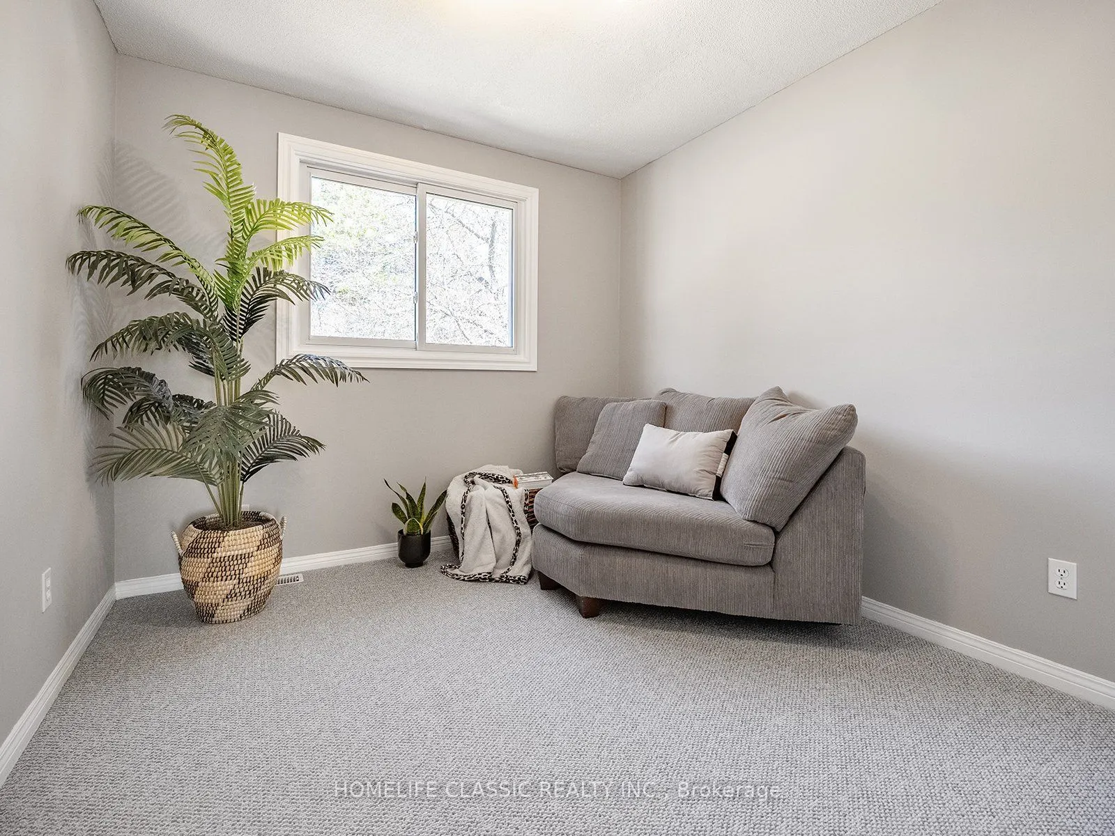 62 Terrace Drive