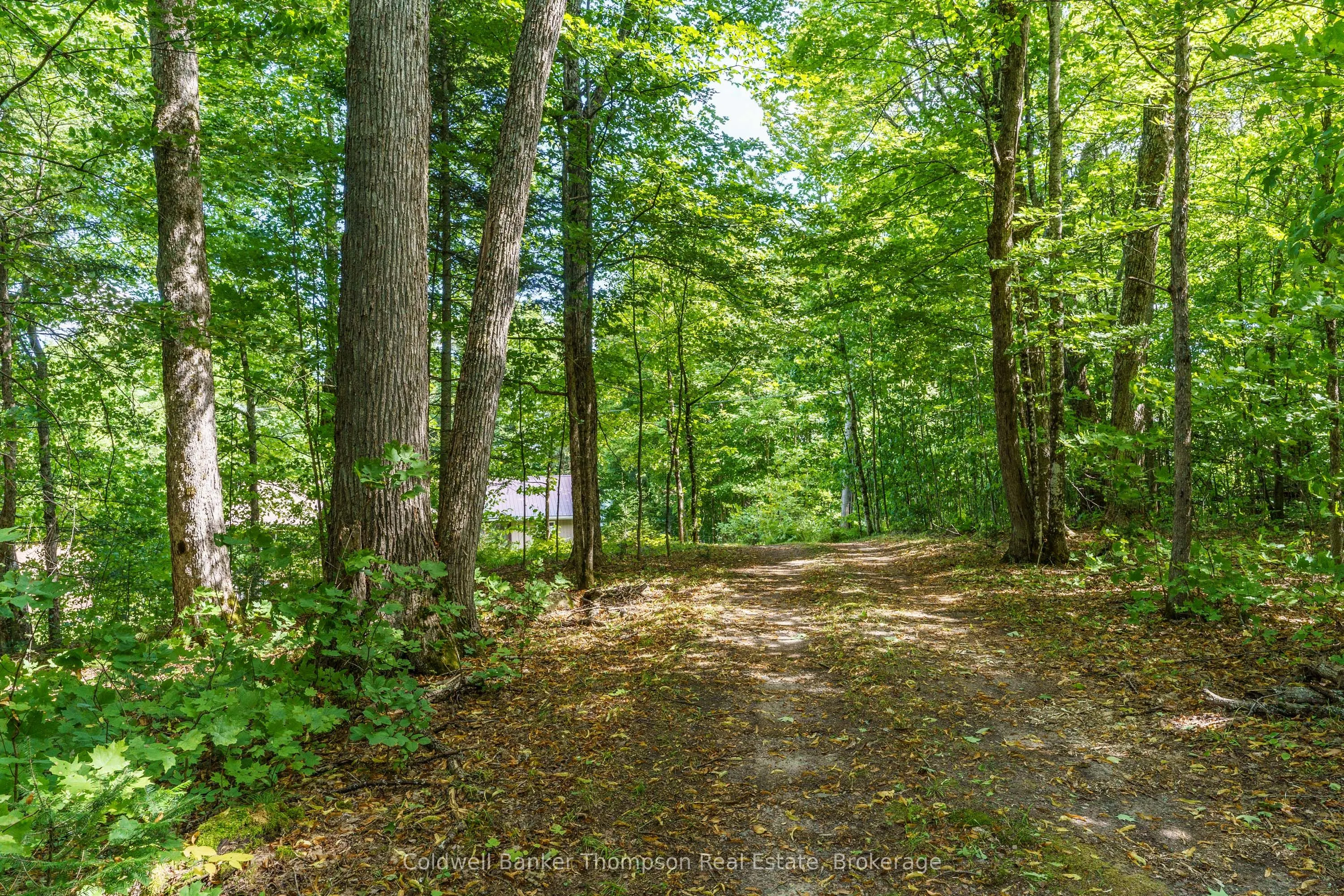 115 Sandwood Drive