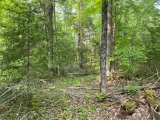LOT 30 Highway 62