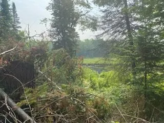 LOT 30 Highway 62
