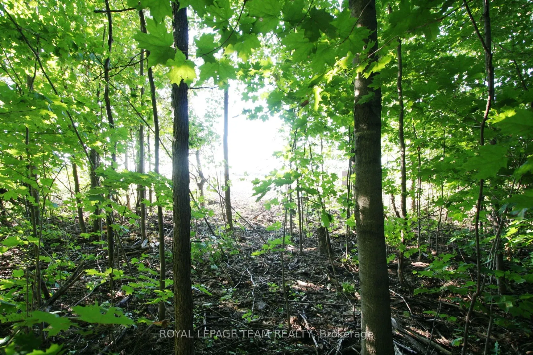 PtLt31 PLEASANT VALLEY Road