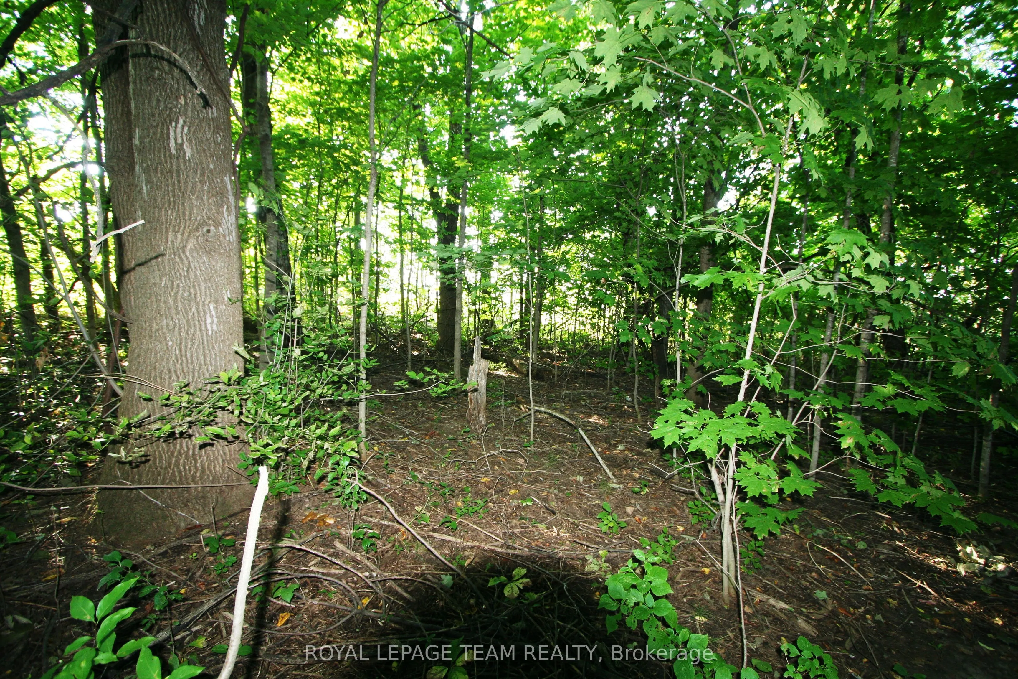 PtLt31 PLEASANT VALLEY Road