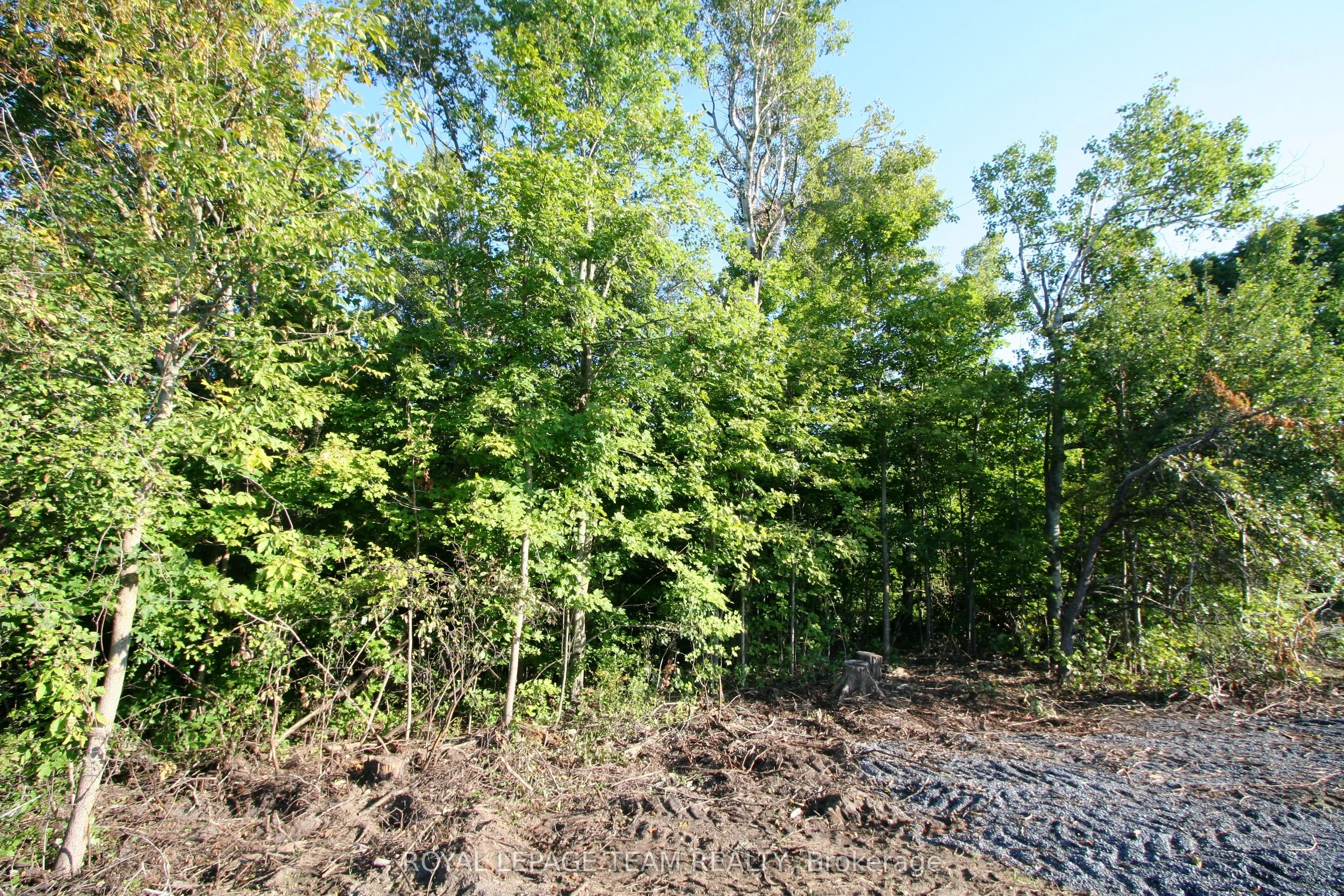 PtLt31 PLEASANT VALLEY Road