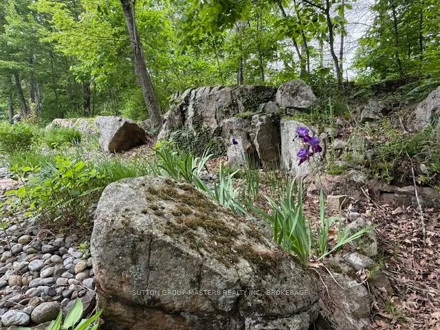 168 Escott Rockport Road