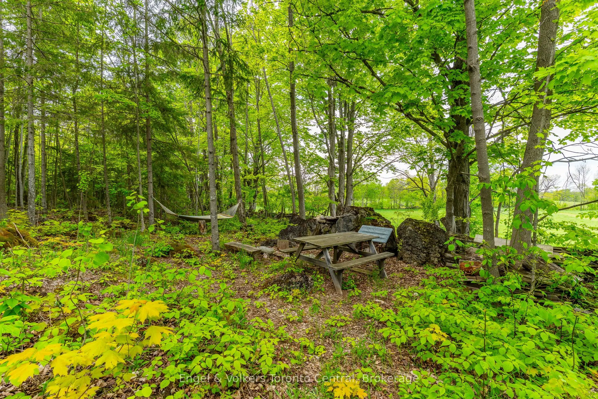 215588 CONCESSION 4