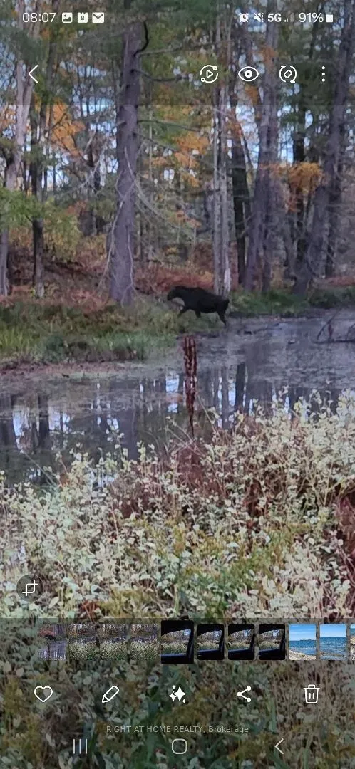 302 Fire Route 93A Route